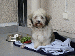 pic0026.gif