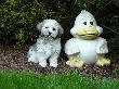 pic0025.gif