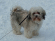 pic0022.gif