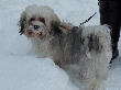 pic0023.gif
