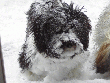 pic0038.gif