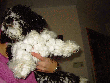 pic0043.gif