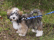 pic0058.gif