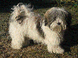 pic0089.gif