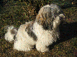 pic0090.gif
