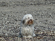 pic09110002.png