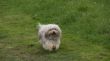 Max1506123.JPG