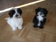 Bella_u_Bonny_04.02.JPG